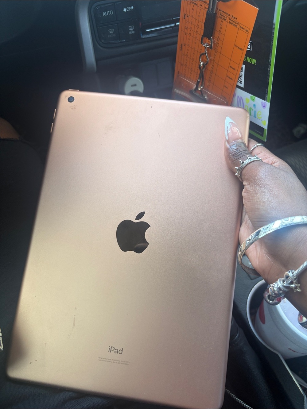 Apple iPad in Rose Gold Finish